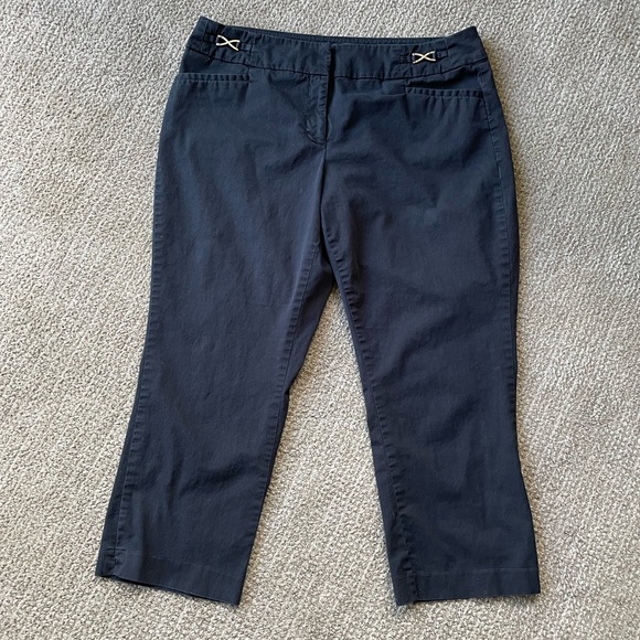 Capri Pants New York & Co 7th Avenue Suiting Collection  Size 12 - Picture 1 of 9